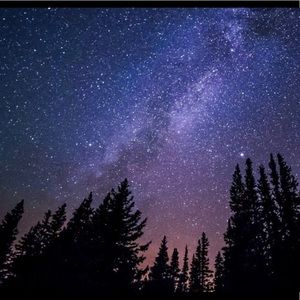 Meet your Posher, Carly